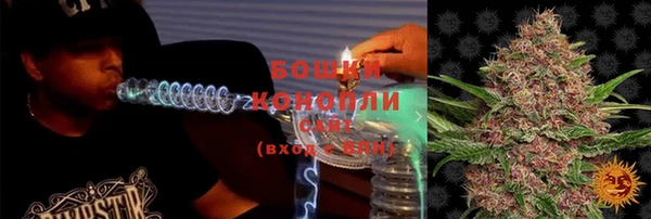 крисы Бугульма