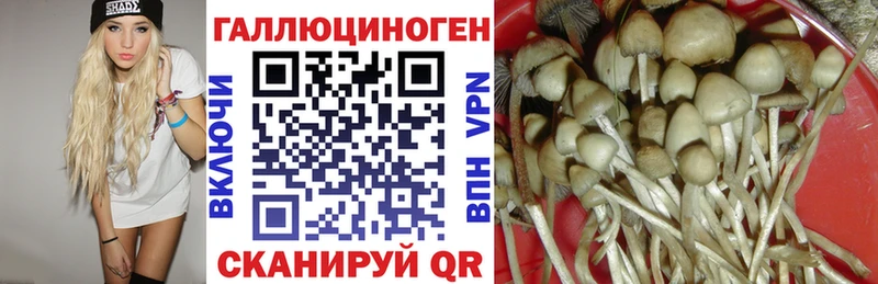 Псилоцибиновые грибы GOLDEN TEACHER  Первоуральск 